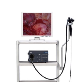 Vetina ES3 Veterinary Flexible Endoscopy System